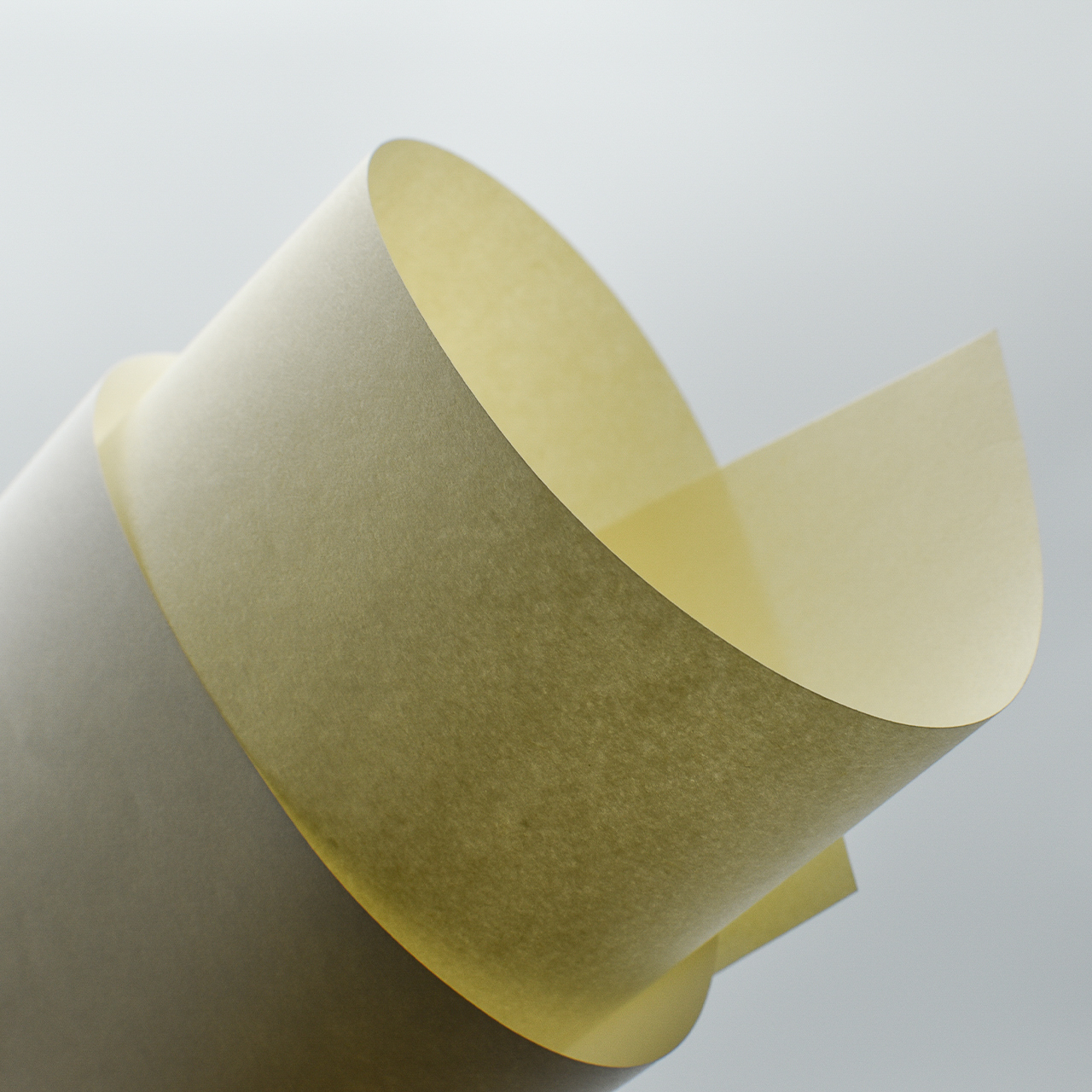Grains de Papier