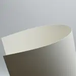 Synaps